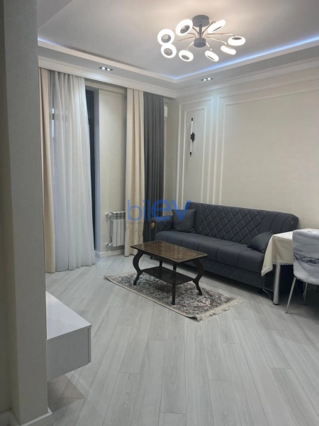 Aylıq Kirayə 2 otaqlı Yeni Tikili bina evi  59m², Bakı