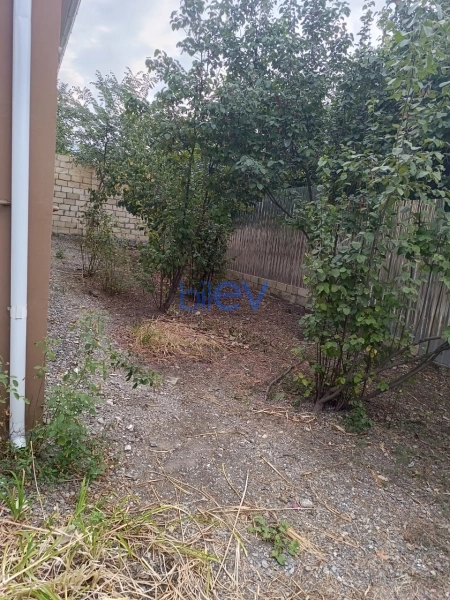 Günlük Kirayə 4 otaqlı Həyət evi  150m², İsmayıllı
