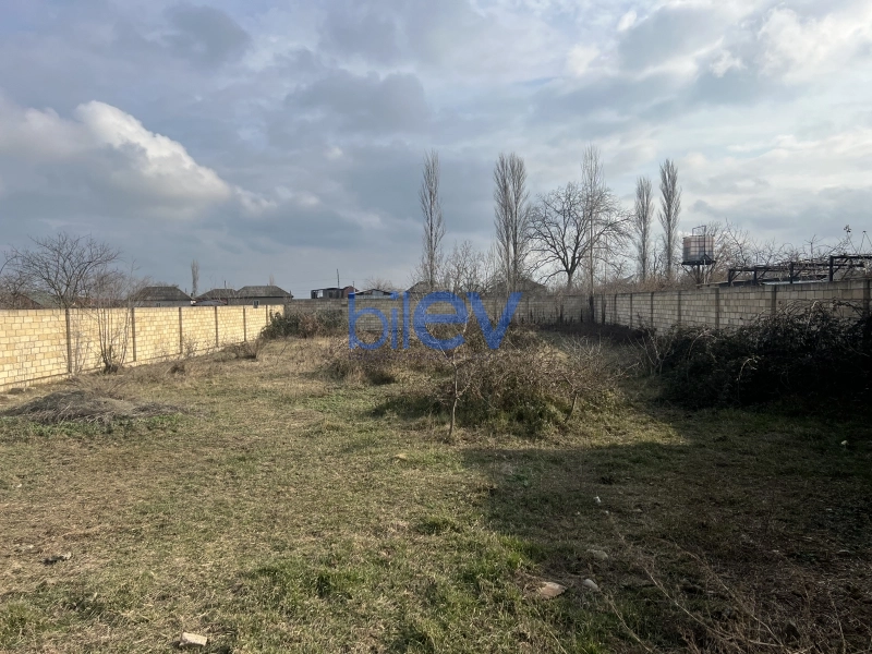 Satış  otaqlı Torpaq  1150m², Xaçmaz