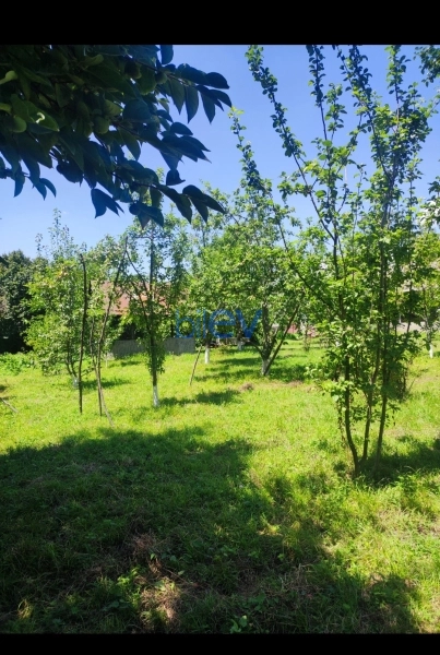 Satış  otaqlı Torpaq  7m², Qəbələ