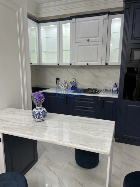 Aylıq Kirayə 2 otaqlı Yeni Tikili bina evi  65m², Bakı