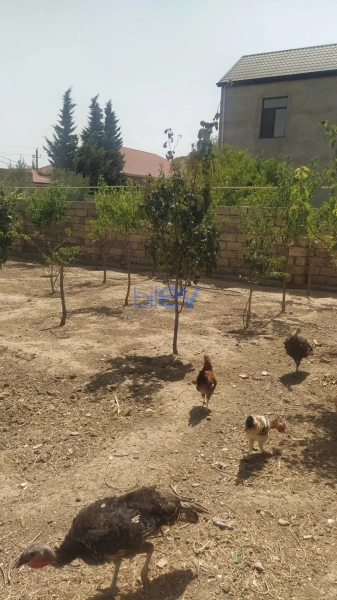 Satış  otaqlı Torpaq  400m², Bakı