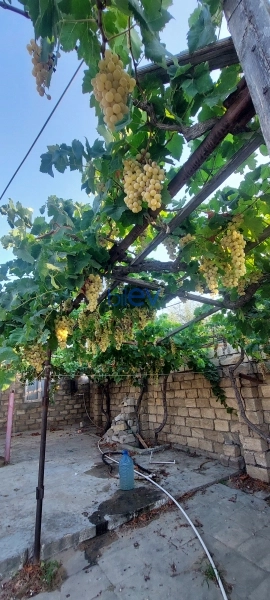 Aylıq Kirayə 3 otaqlı Həyət evi  80m², Bakı