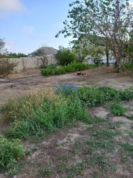 Satış  otaqlı Torpaq  m², Bakı
