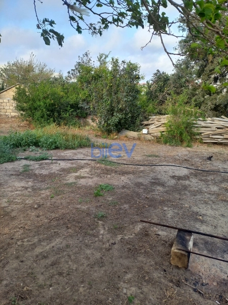 Satış  otaqlı Torpaq  m², Bakı