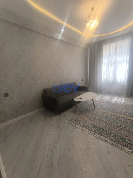 Aylıq Kirayə 2 otaqlı Yeni Tikili bina evi  55m², Bakı