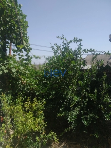 Satış 2 otaqlı Həyət evi  100m², Bakı