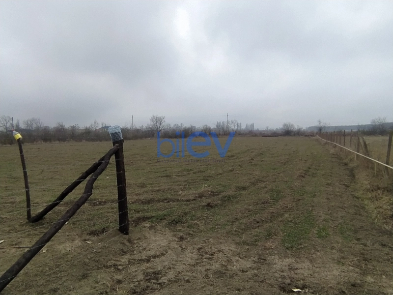 Satış  otaqlı Torpaq  38m², Qusar