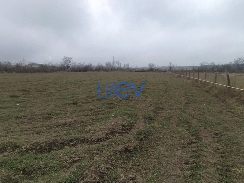 Satış  otaqlı Torpaq  38m², Qusar