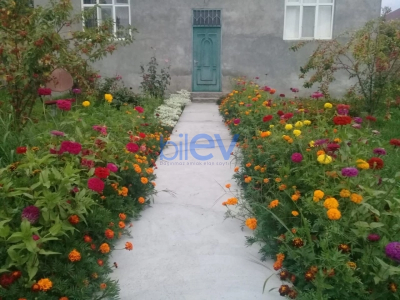 Satış 4 otaqlı Həyət evi  121m², Qəbələ