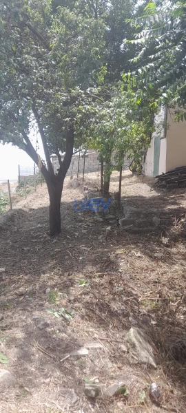 Satış 5 otaqlı Bağ evi  65m², Şamaxı