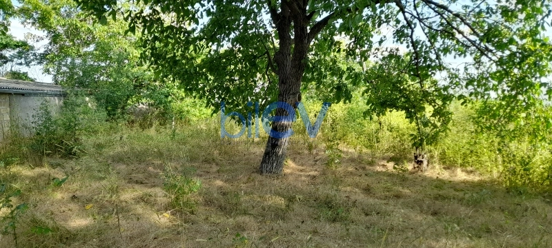 Satış 5 otaqlı Bağ evi  65m², Şamaxı