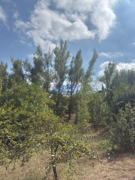 Satış 4 otaqlı Bağ evi  1100m², Şamaxı