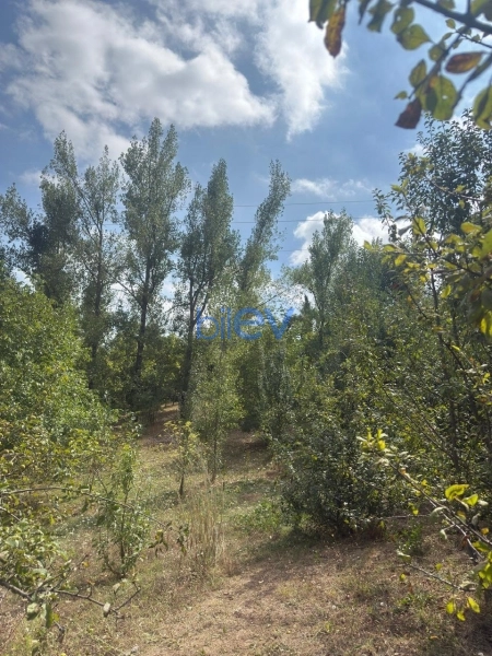 Satış 4 otaqlı Bağ evi  1100m², Şamaxı