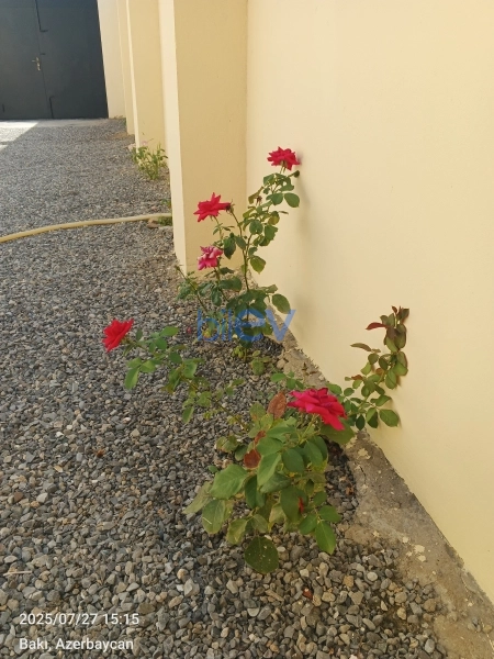 Satış 3 otaqlı Həyət evi  110m², Bakı