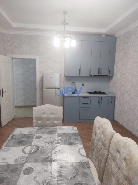 Aylıq Kirayə 2 otaqlı Yeni Tikili bina evi  55m², Bakı