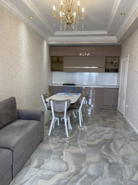 Satış 2 otaqlı Yeni Tikili bina evi  110m², Bakı