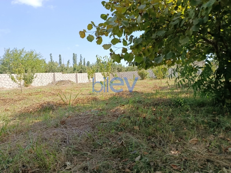 Satış 0 otaqlı Torpaq  10m², Xaçmaz
