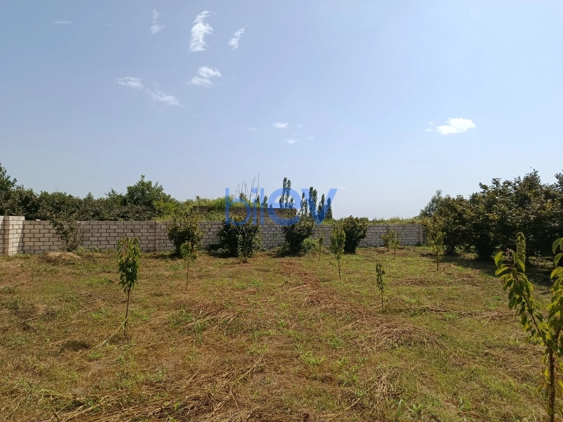 Satış 0 otaqlı Torpaq  10m², Xaçmaz