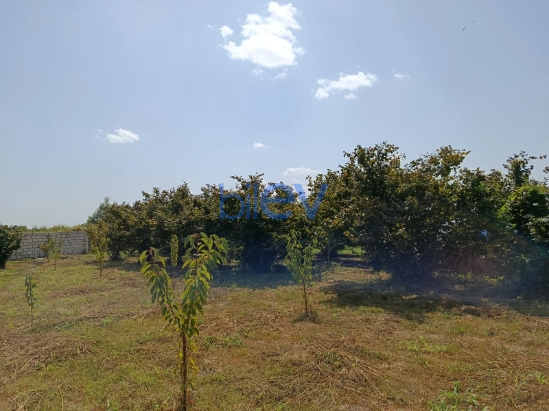 Satış 0 otaqlı Torpaq  10m², Xaçmaz