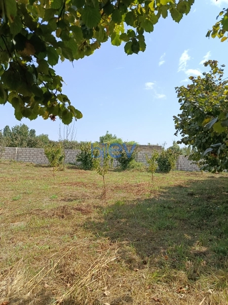 Satış 0 otaqlı Torpaq  10m², Xaçmaz