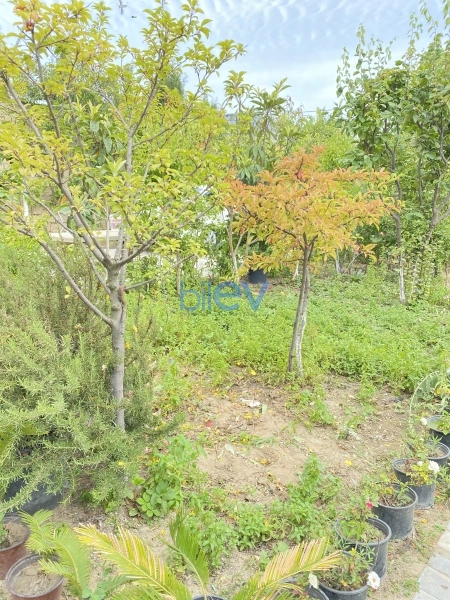 Satış 3 otaqlı Həyət evi  120m², Bakı