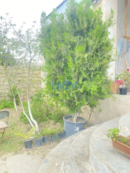 Satış 3 otaqlı Həyət evi  120m², Bakı
