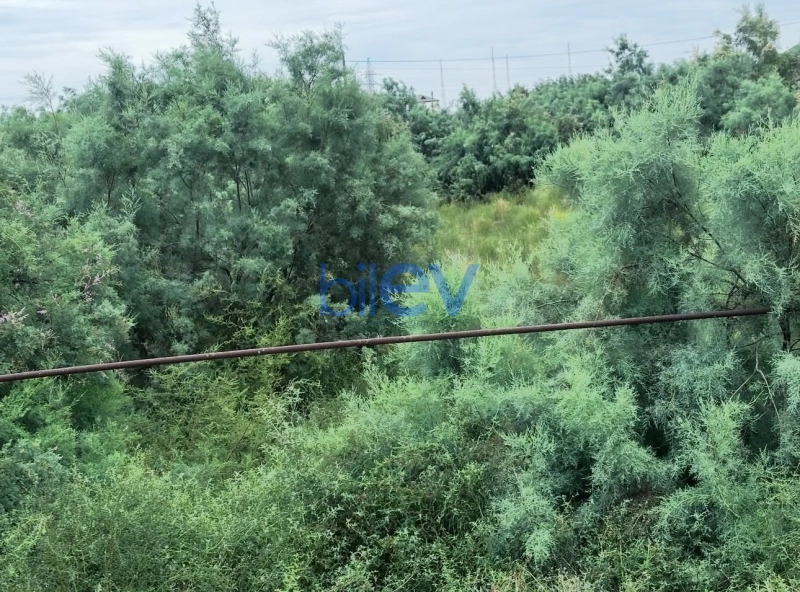Satış  otaqlı Torpaq  8m², İmişli