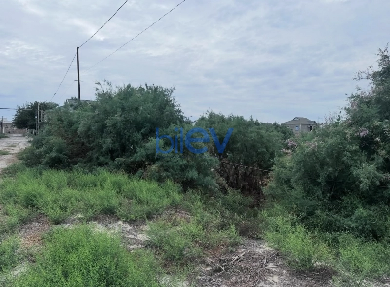 Satış  otaqlı Torpaq  8m², İmişli