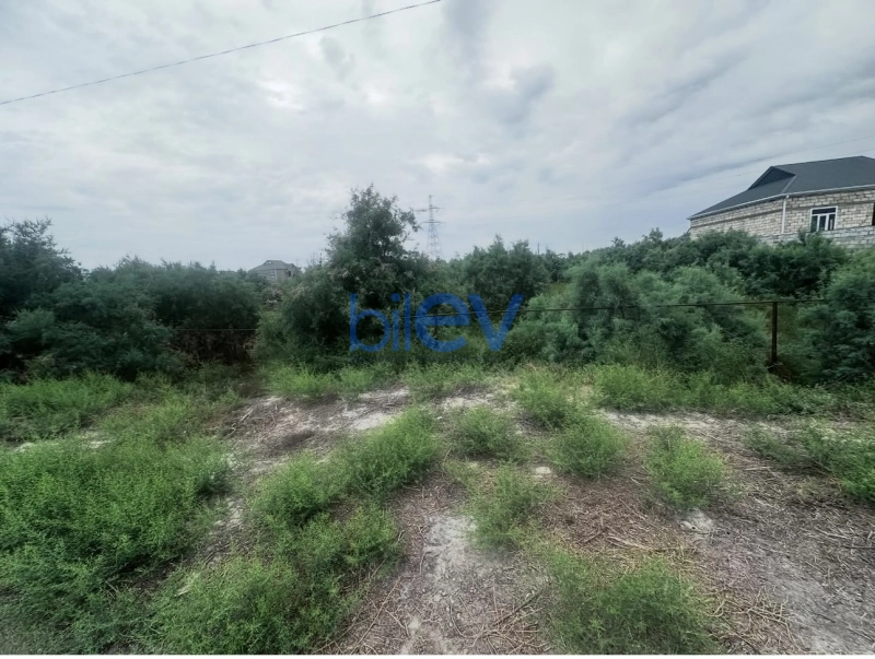 Satış  otaqlı Torpaq  8m², İmişli
