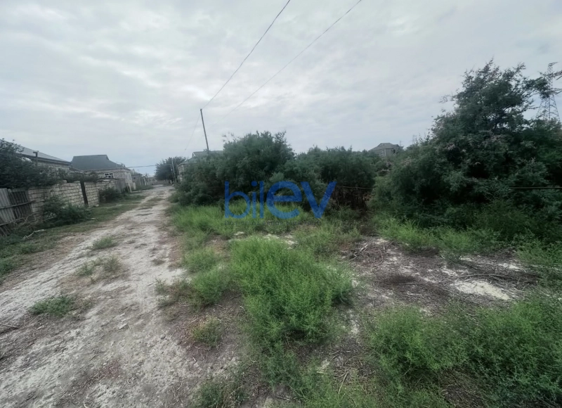Satış  otaqlı Torpaq  8m², İmişli