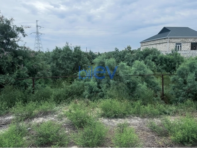 Satış  otaqlı Torpaq  8m², İmişli
