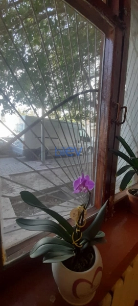 Satış 3 otaqlı Köhnə Tikili bina evi  60m², Bakı