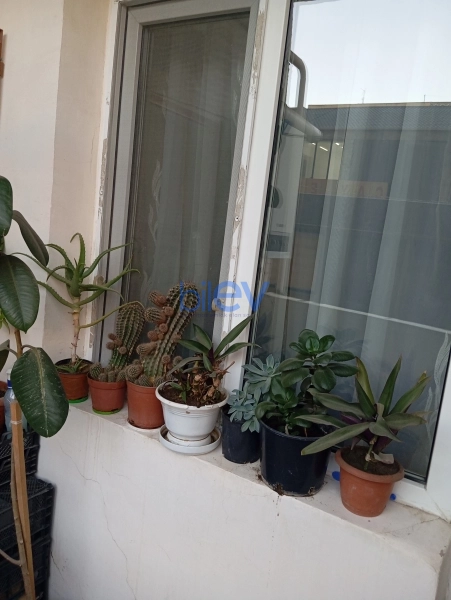 Satış 3 otaqlı Yeni Tikili bina evi  80m², Bakı
