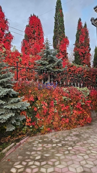Satış 8 otaqlı Villa  280m², Bakı
