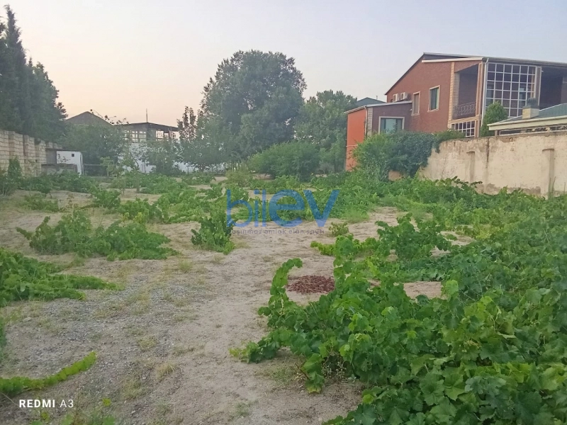 Satış  otaqlı Torpaq  8m², Bakı
