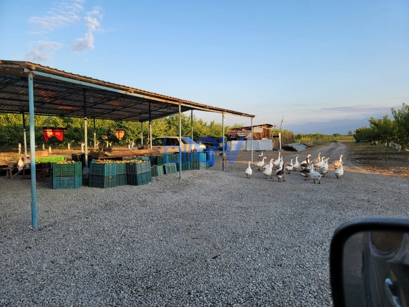 Satış 2 otaqlı Torpaq  320000m², İsmayıllı