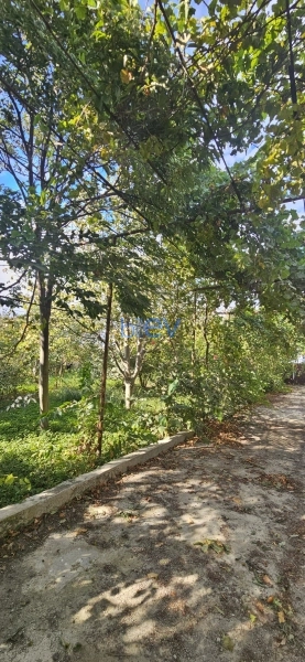 Satış 4 otaqlı Bağ evi  48m², Bakı