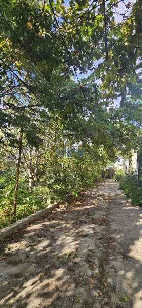 Satış 4 otaqlı Bağ evi  48m², Bakı