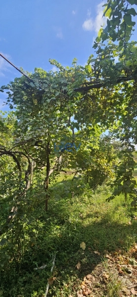 Satış 4 otaqlı Bağ evi  48m², Bakı