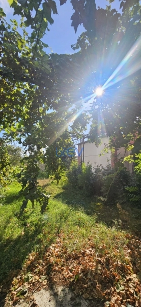 Satış 4 otaqlı Bağ evi  48m², Bakı