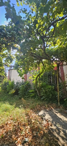 Satış 4 otaqlı Bağ evi  48m², Bakı