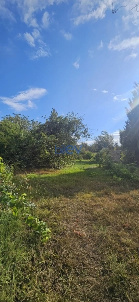 Satış 4 otaqlı Bağ evi  48m², Bakı