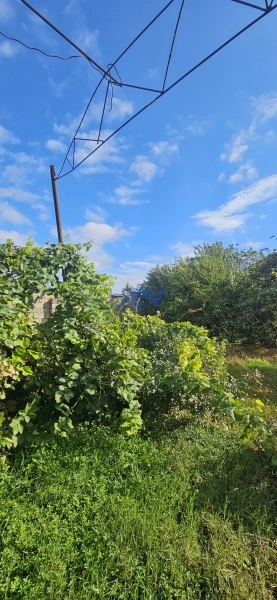 Satış 4 otaqlı Bağ evi  48m², Bakı