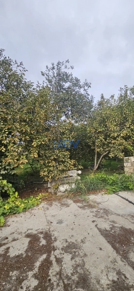 Satış 4 otaqlı Bağ evi  48m², Bakı