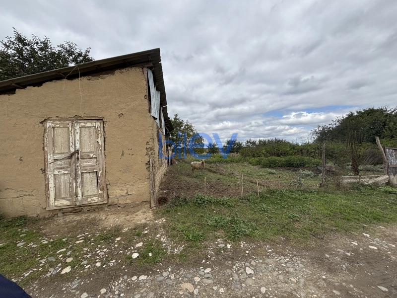 Satış  otaqlı Torpaq  15m², Quba