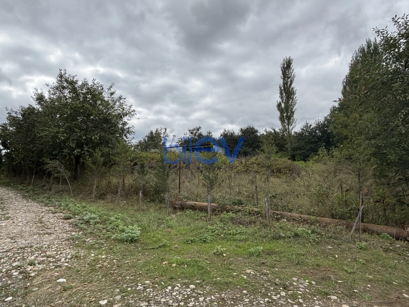 Satış  otaqlı Torpaq  15m², Quba
