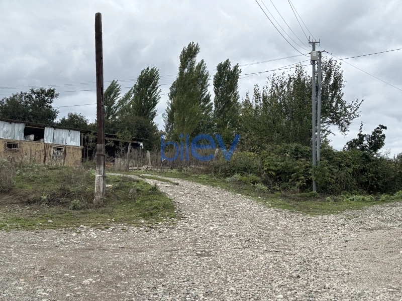 Satış  otaqlı Torpaq  15m², Quba
