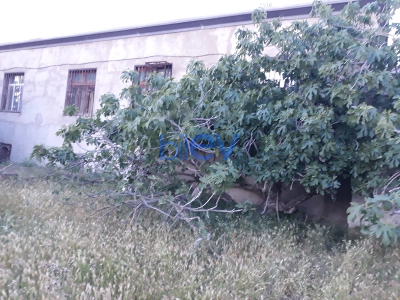 Satış  otaqlı Torpaq  10m², Bakı