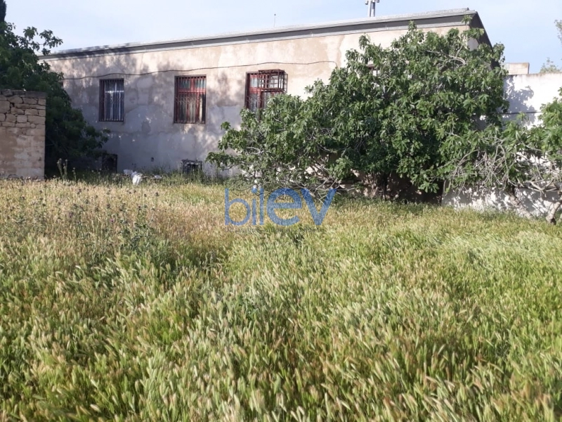 Satış  otaqlı Torpaq  10m², Bakı
